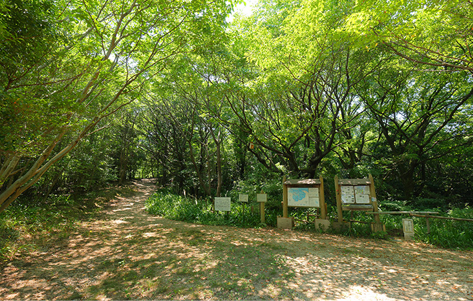 相生山緑地 （約1,860m／自転車10分）